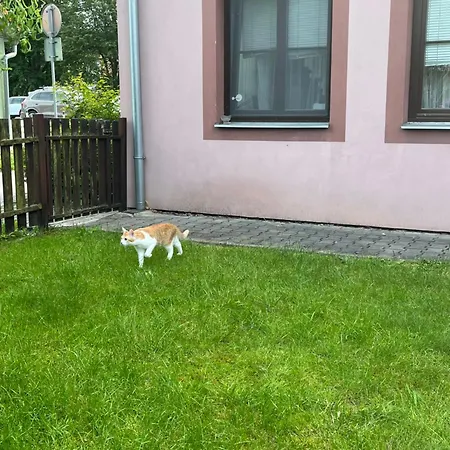 Apartmán V Centru Třeboň