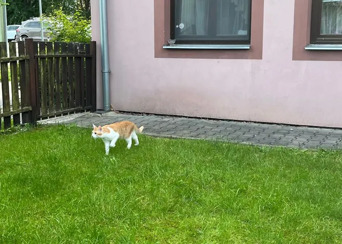דירה V Centru Třeboň